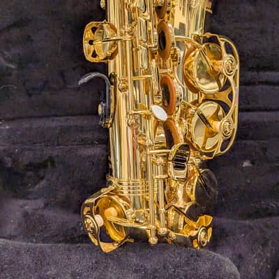 Alpine Woodwinds AAS143 2010's Alto Saxophone with Case - Gold image 14