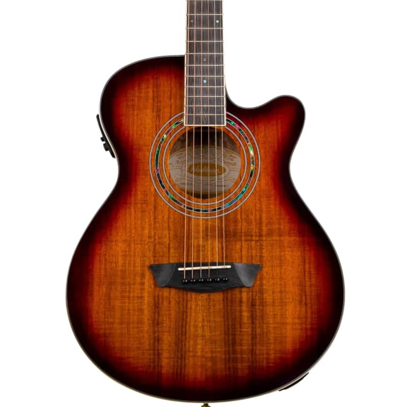 Washburn EA55G-A Festival Series Cutaway Mini Jumbo Acoustic/Electric Guitar. Koa Burst image 1