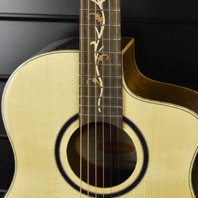 Washburn BTSC40-SCE image 7