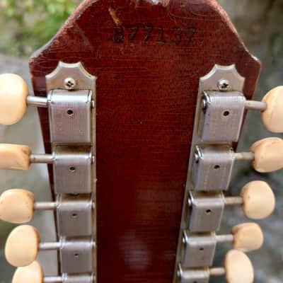 Epiphone FT-85 Serenader 1963 - 1969 - Natural image 8