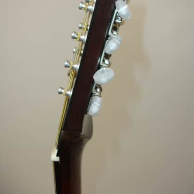 Vintage Acoustic Mandocello Archtop, Vintage Sunburst with Case image 14