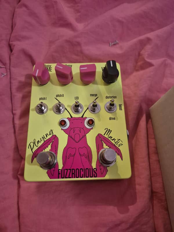 Fuzzrocious Playing Mantis 2019 - Present - Various image 1