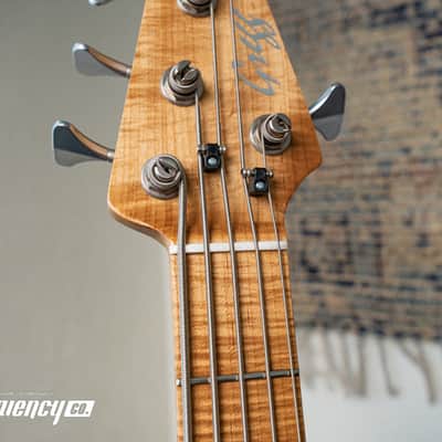 Gregg Guitars PJ5 Bass in Olympic White with an Chambered Ash Body and Roasted Flamed Maple Neck image 12