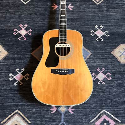1975 D-55 Left Handed Dreadnought Guitar (Westerly RI!) image 1