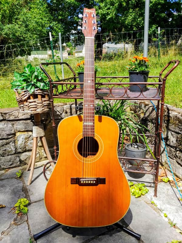 1993 WASHBURN D93 LTD ACOUSTIC GUITAR image 1