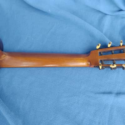 all original 1892 Washburn Parlor Adirondack Top Brazilian rosewood image 12