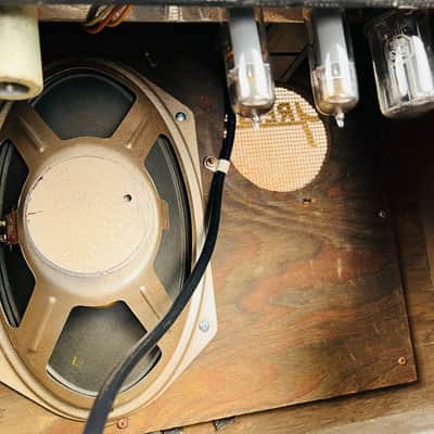 Gretsch 6161 Country Gentleman 2x10" Combo Amplifier 1962 - Gray image 13