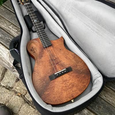 KALA Revelator Nautilus Master Grade Koa Baritone ukulele imagen 10