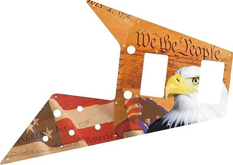 Pickguard Pick Guard Scratchplate Graphical Gibson Flying V Guitar We the People image 1