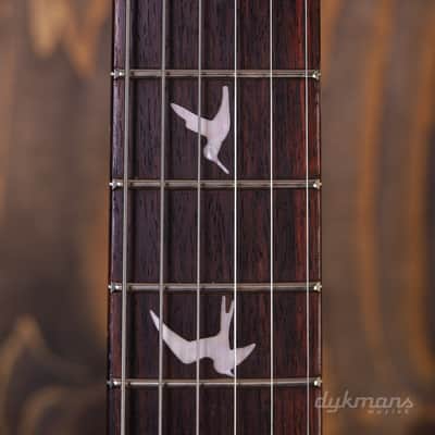 PRS 10th Anniversary S2 Custom 24 Limited Edition Lake Blue image 8