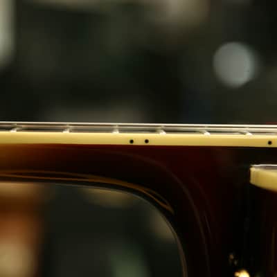 Aria Pro II FA-70 Jazz Hollowbody Archtop in 3 Color Sunburst image 2