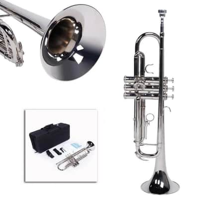 Marcinkiewicz Marsinkiewicz / Concert Hall Model E13.8 (Mike Vax