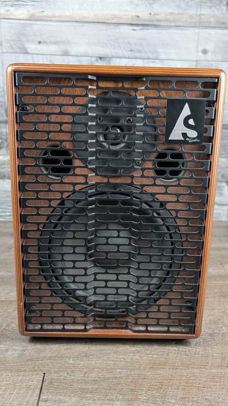 Godin Acoustic Solutions amplifier 1x8" 150-Watt image 1