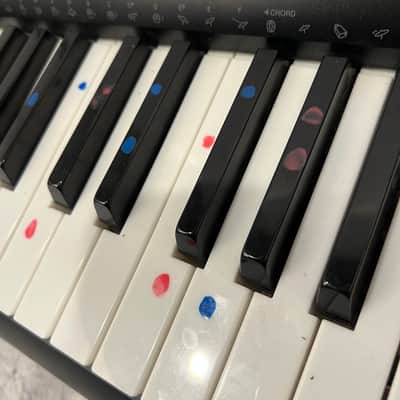 Casio LK-220 61-Key Electronic Keyboard with Lighted Keys image 6