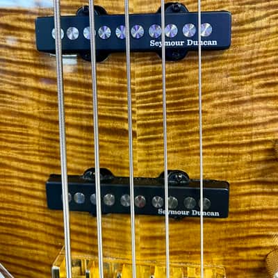 Wilkins Exotic 5 String Bass Made In USA with Gig Bag - Pre Owned image 7