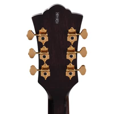 Guild Starfire Custom DC GVT Nobel Stain image 7