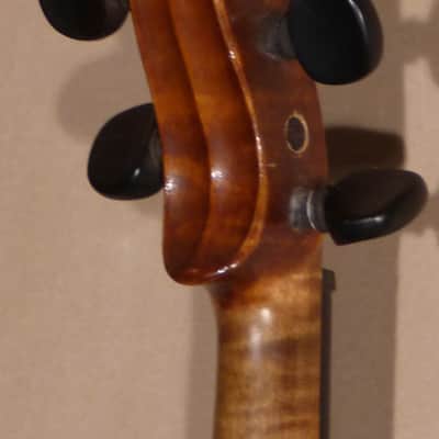 Gebruder Placht Violin image 2