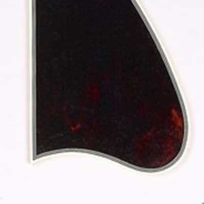 Pickguard For L-5 Cutaway, 5-Ply Binding - TORTOISE