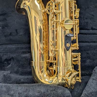 Alpine Woodwinds AAS143 2010's Alto Saxophone with Case - Gold image 9