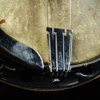 1928 Levin Model T 175 Tenor Banjo image 6