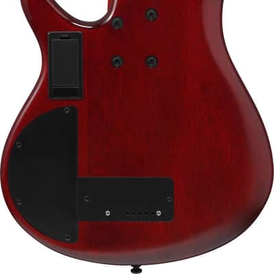 Ibanez SRD905F-BTL Bass Workshop SR Electric Bass 5-String Fretless - Brown Topaz Burst Low Gloss image 23