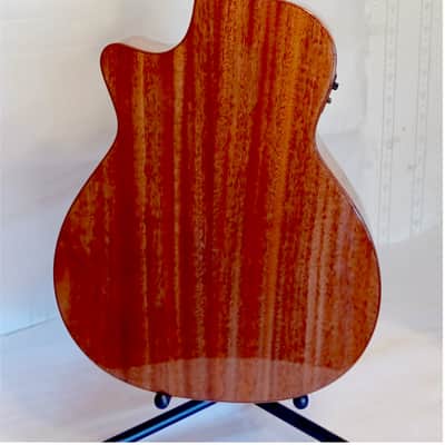 Firefly GA01-E Acoustic/Electric Guitar - Solid Top Spruce w/ Fishman Presys EQ image 10