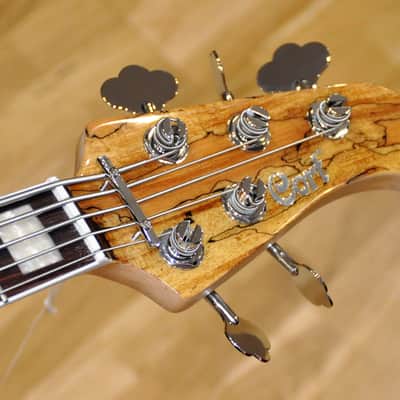 Cort GB5 Custom Maple Top 5 Strings GB5-Custom Bass Guitar w