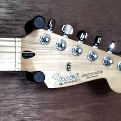 Fender Standard Stratocaster MIM Mirror PG 1998 - 2005 - Black image 17
