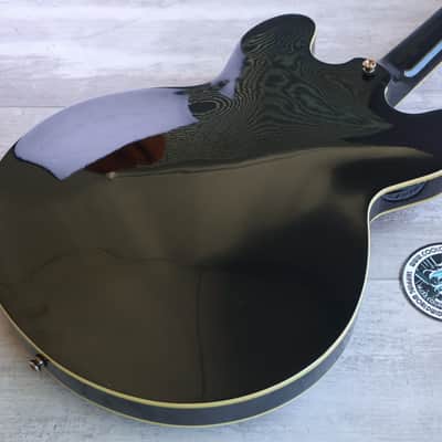 2015 Epiphone Sheraton II Pro Semi Hollowbody (Ebony) image 9