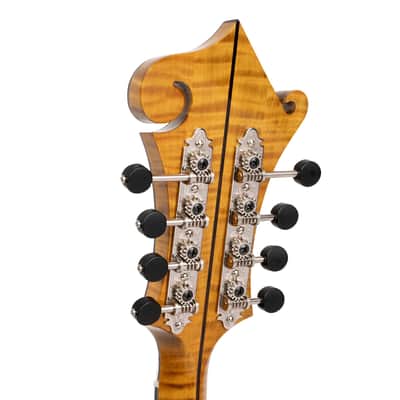 Gold Tone Grandmaster Elite Old Swiss/Italian Spruce Top 8-String Mandolin w/Hard Case image 9