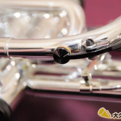 Brasspire Unicorn BPCT-B4S w/Black Nickel Trim (New) B♭Cornet image 5
