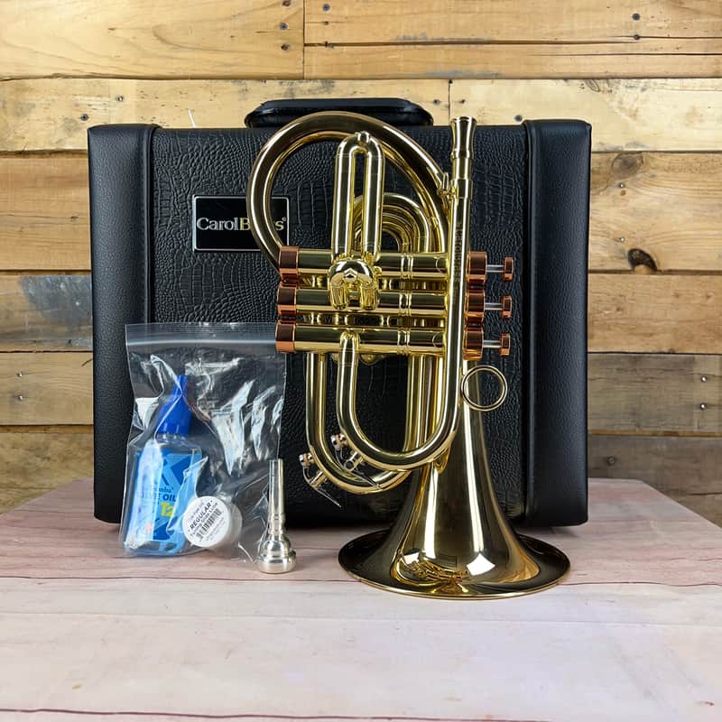Carol Brass Taylor Phat Puppy Flugelhorn image 1