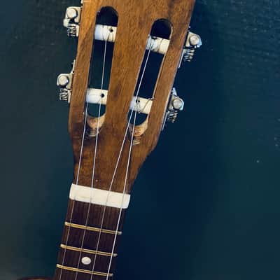 Giannini Cavaquinho MPB image 4