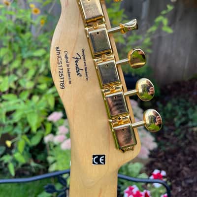Immagine $Look$ Squier Vintage Modified Telecastercustom - 9