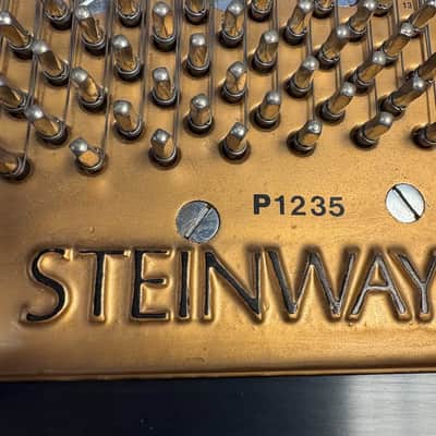 Steinway & Sons Grand Piano | Model M image 4