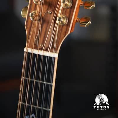 Taylor 854ce 12-string 2007 image 6