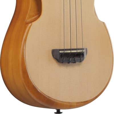 Ibanez AUT10-OPN AU Tenor Ukulele - Open Pore Natural + Gig Bag image 15