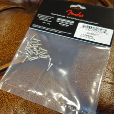 Fender Pickguard/Control Plate Mounting Screws (24) (Chrome) image 2