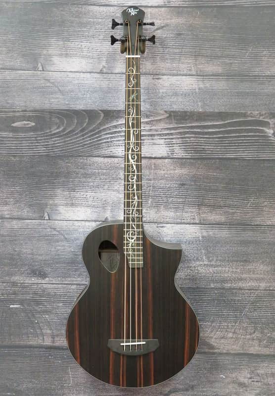 Michael Kelly Dragonfly 4 Acoustic Bass Guitar (Cleveland, OH) image 1