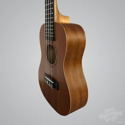 Amahi UK120CW Concert Ukulele, Traditional Shape, Select Mahogany Top, Back & Sides image 4