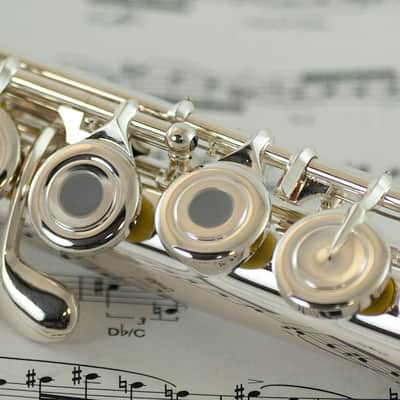 John Packer JP211RE Key of C Flute (Open Hole) w/Leatherette Hard Case, Cleaning Rod & Cloth image 2