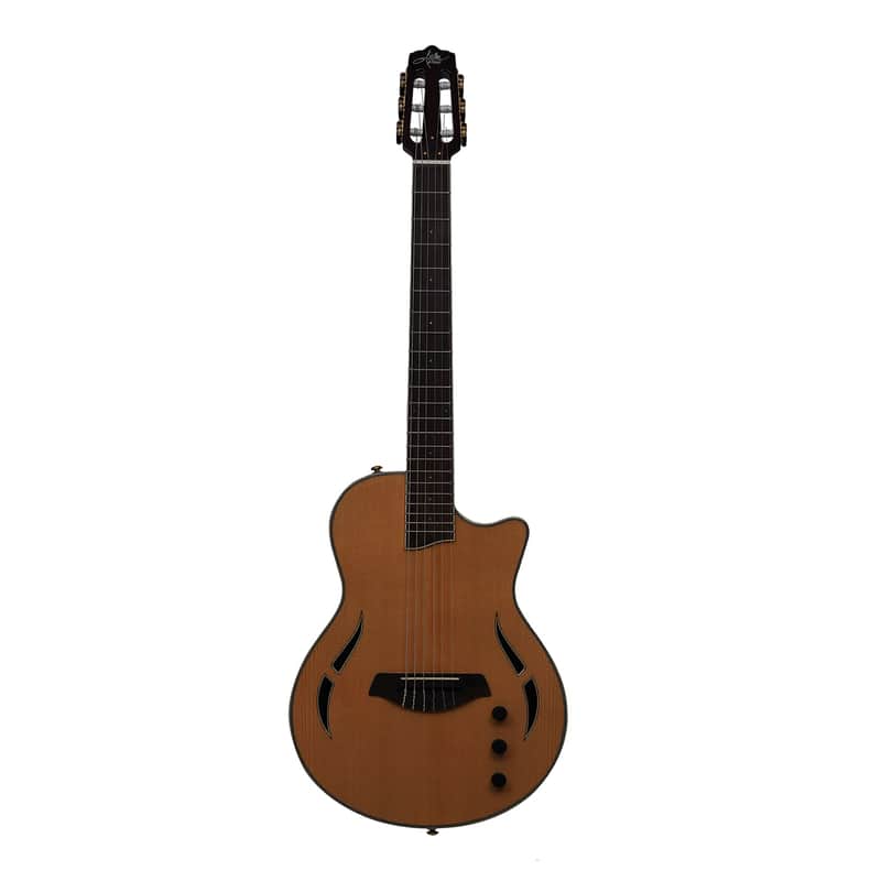 Aslin Dane Nashlin Nylon string Thin Line right Handed - Natural image 1