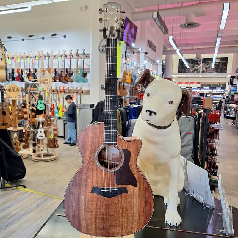 Taylor 724ce 2022 - Present - Natural image 1