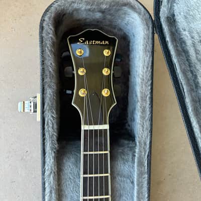 Eastman AR805CE 2008 image 4