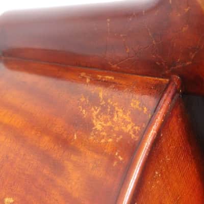 Snow SC300 Cello image 5