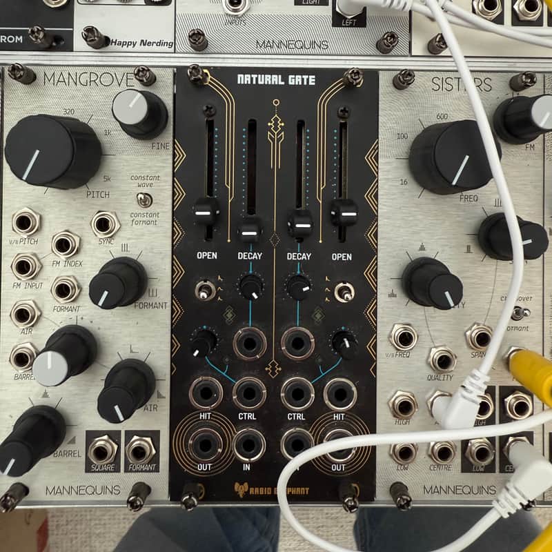 Rabid Elephant Natural Gate LPG Eurorack Module 2010s - Black image 1