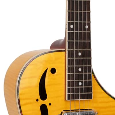 Mojo: Round-neck Resonator Guitar with Pickup and Case image 2