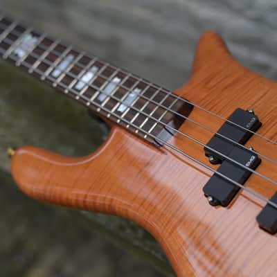 Spector Doug Wimbish Euro 4 Signature Model - Amber Stain Gloss image 10