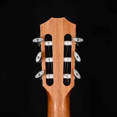 Immagine Taylor 214ce-N Nylon-string Acoustic/ Electric Guitar - Natural 2026 (2202166525) - 7