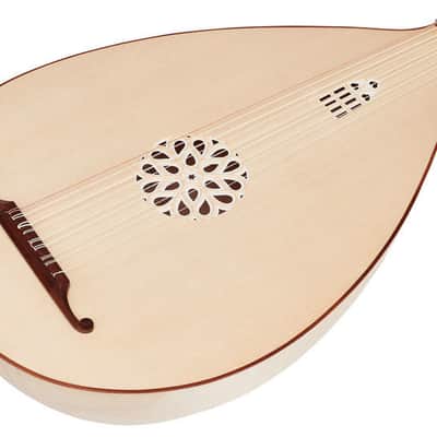 Folk Instruments Professional Design 5 Course Medieval Lute w/ Hardcase image 4